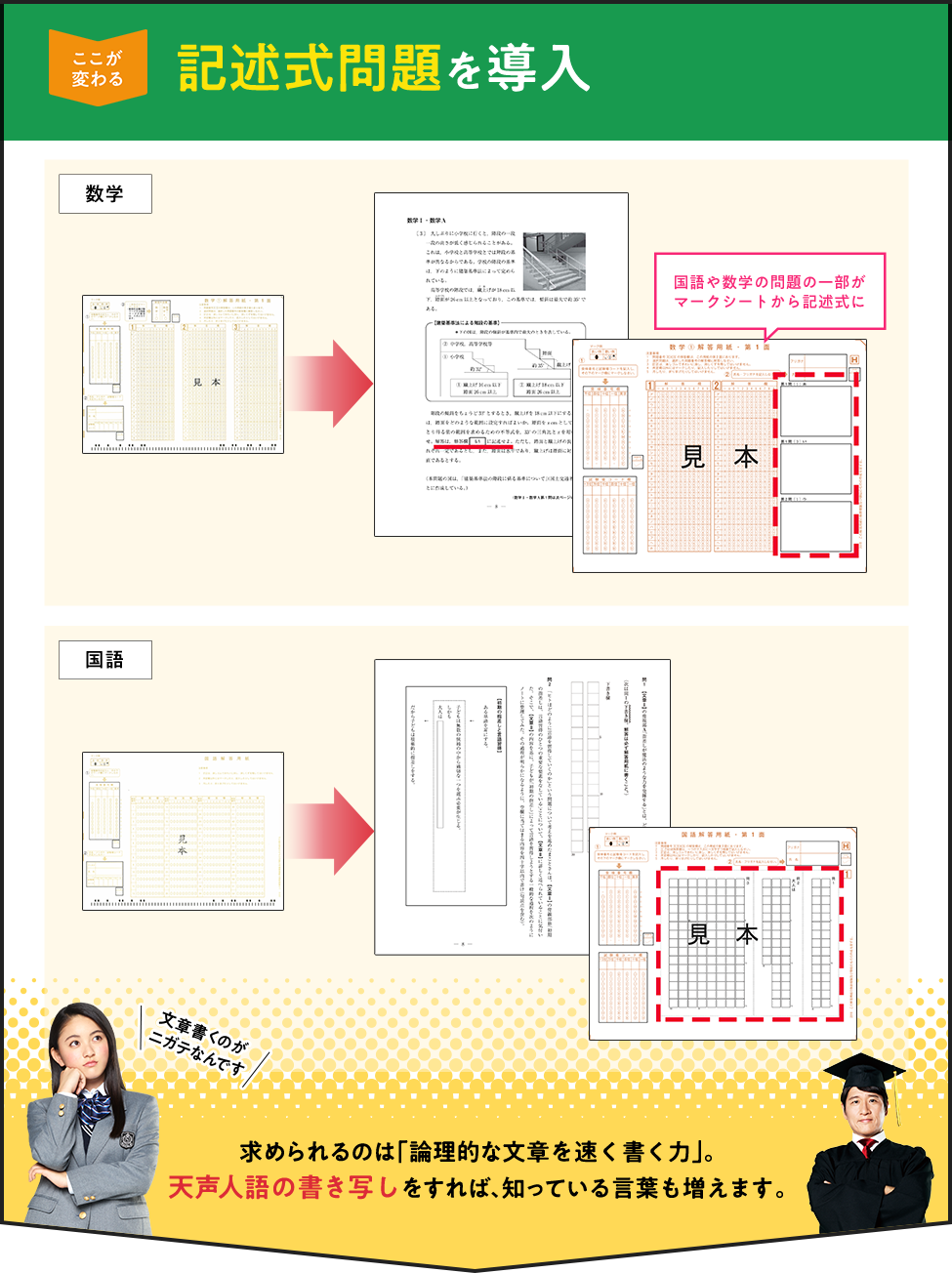 文章量が増える